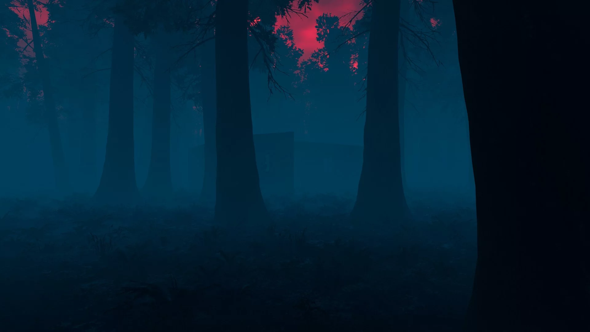 Изображение игры: The Woods