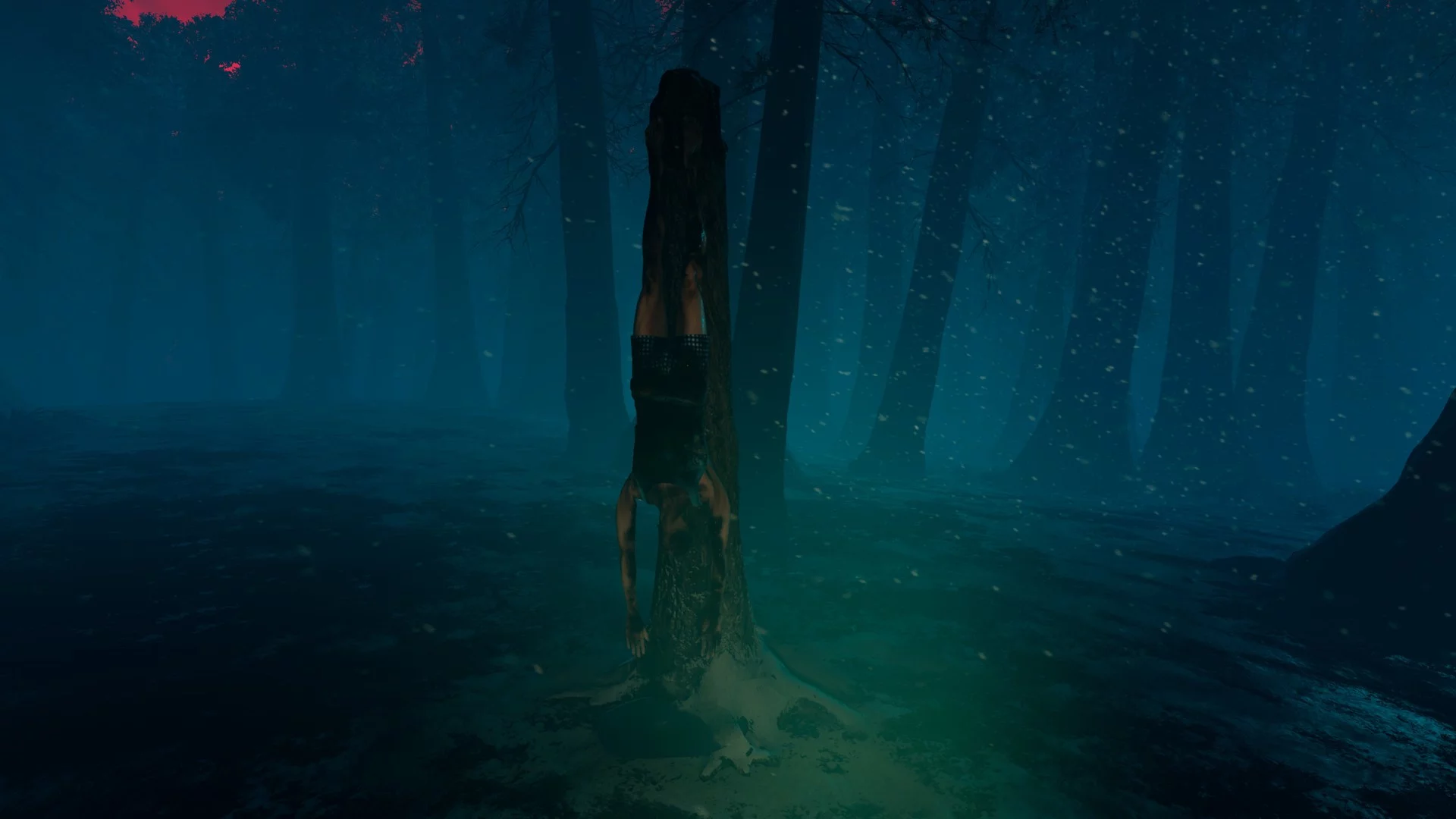 Изображение игры: The Woods