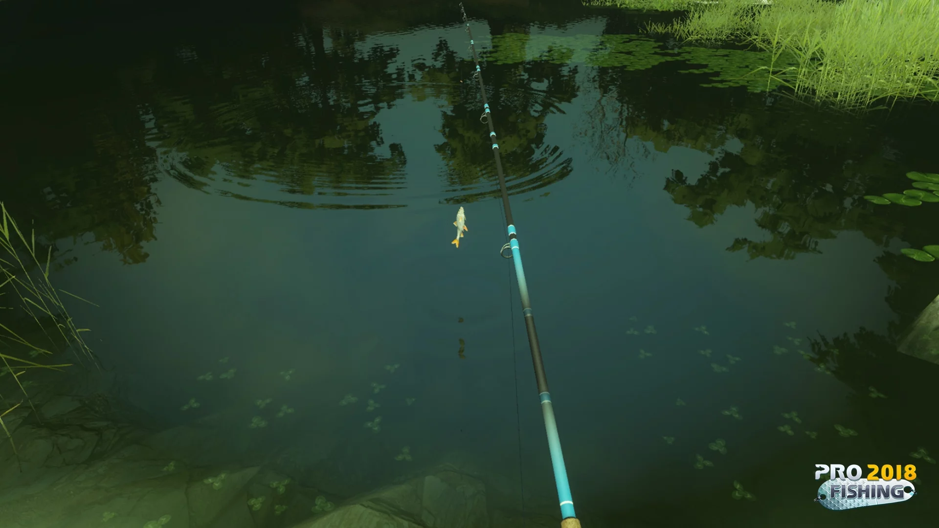 Изображение игры: PRO FISHING 2018