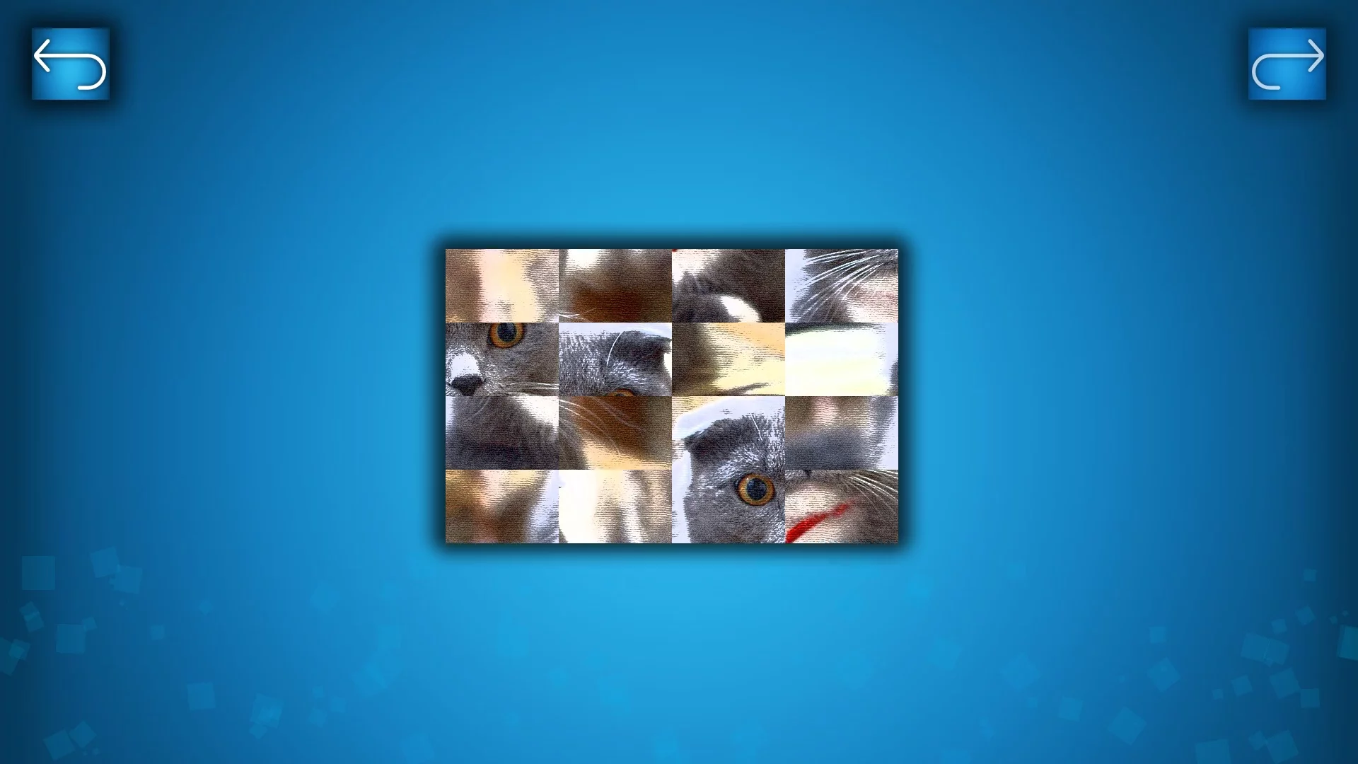 Изображение игры: PUZZLE: CATS & DOGS