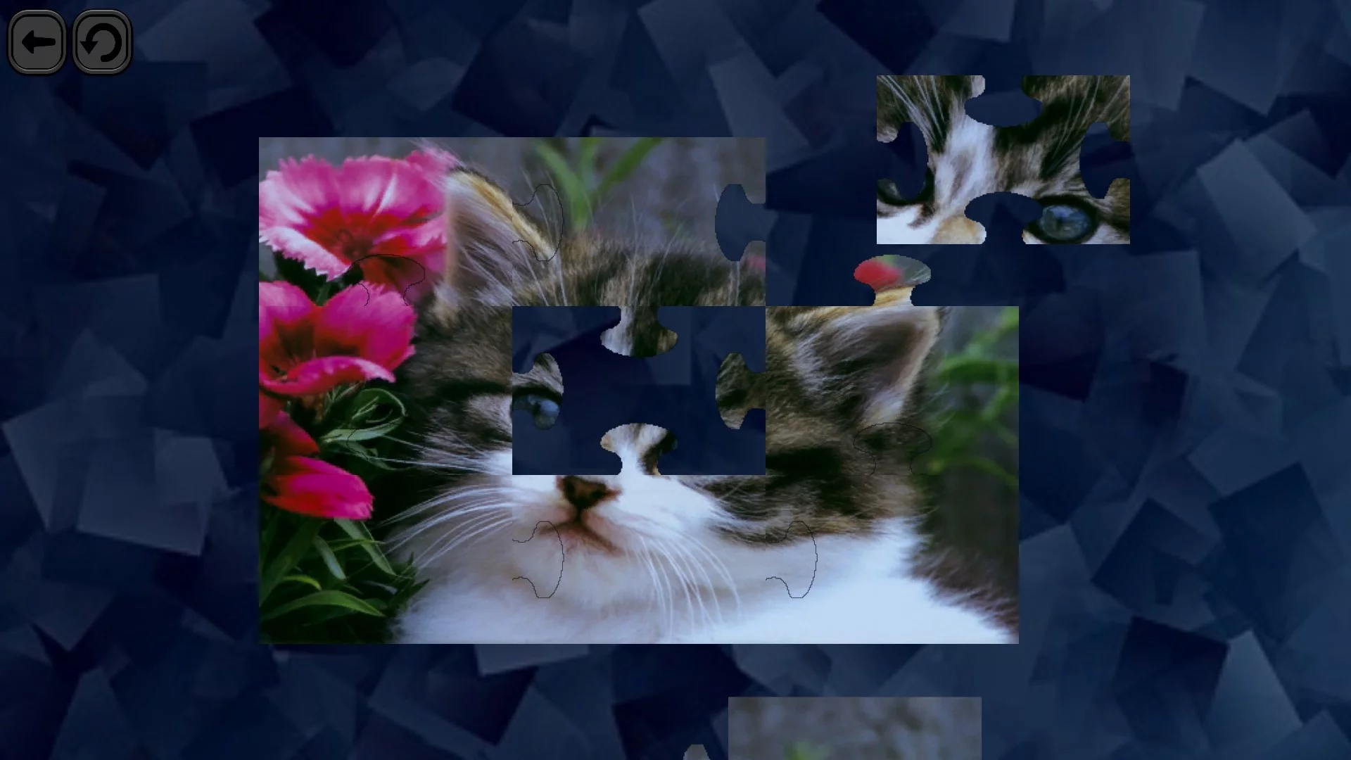 Изображение игры: Puzzles for smart: Cats
