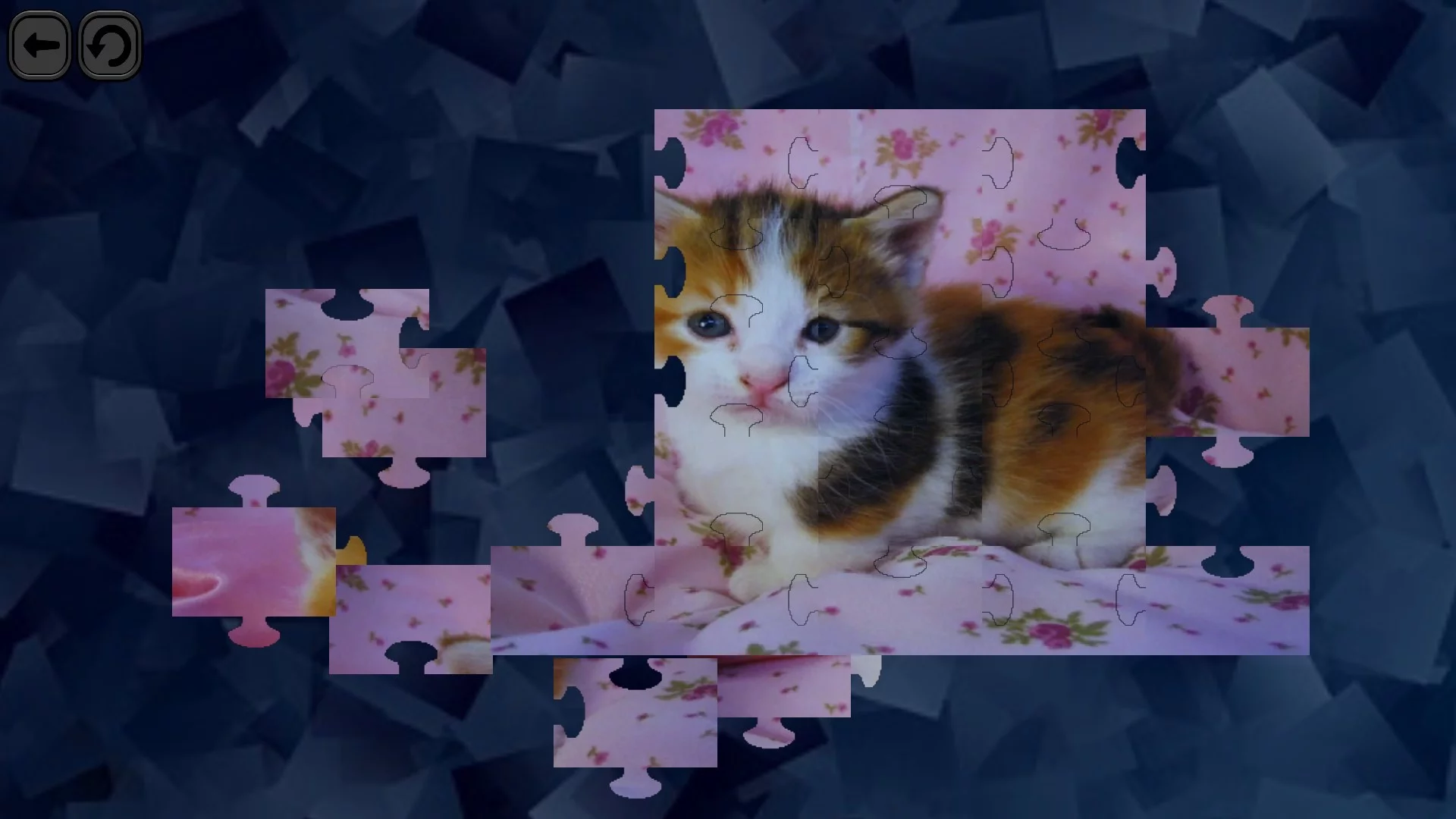 Изображение игры: Puzzles for smart: Cats