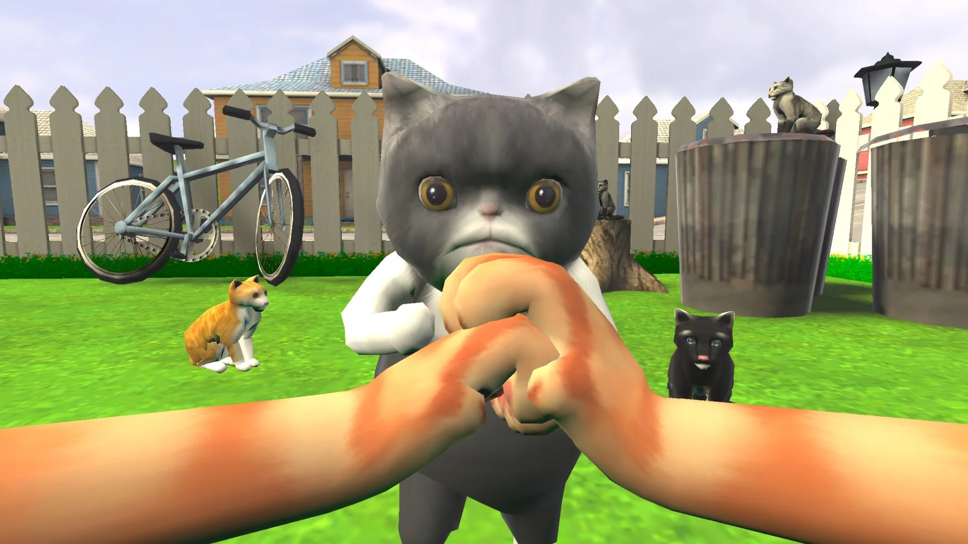 Изображение игры: Kitten Life Simulator