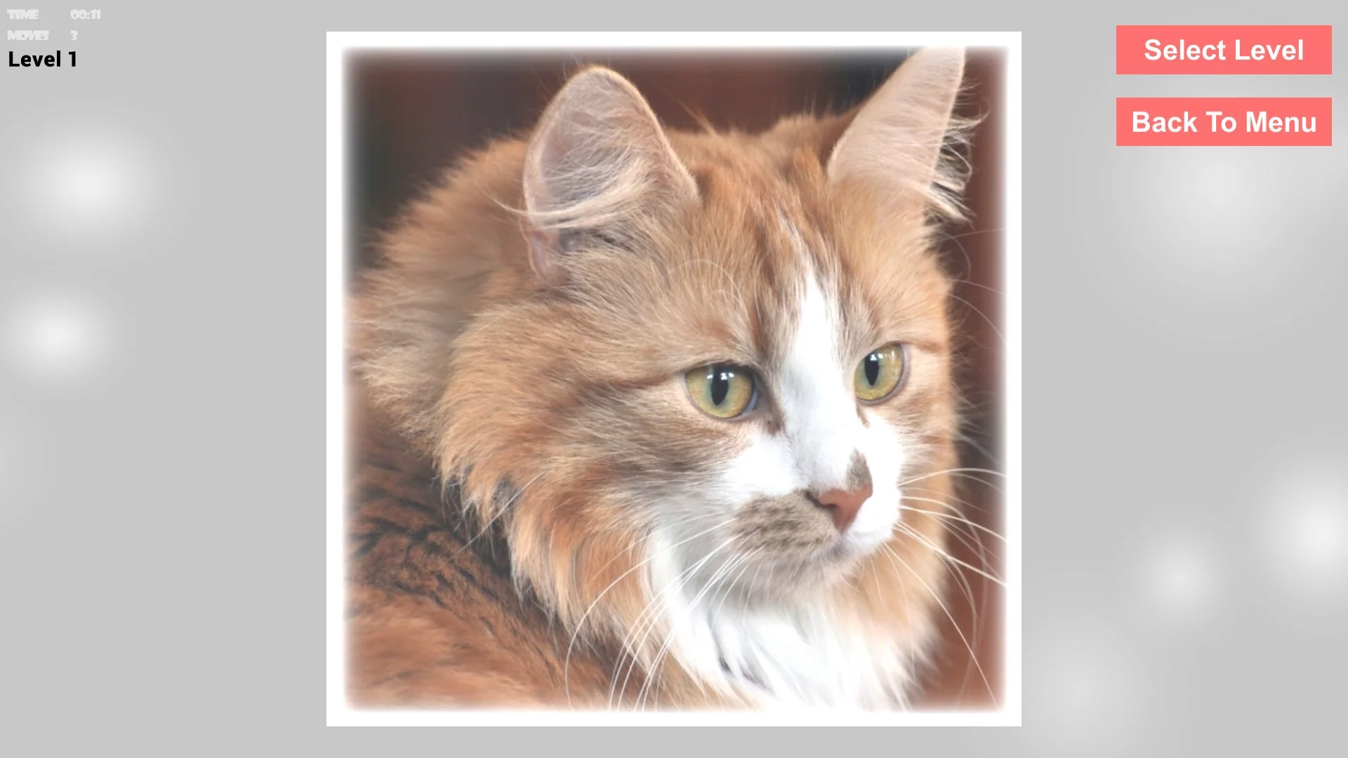 Изображение игры: Cats Epic Puzzles