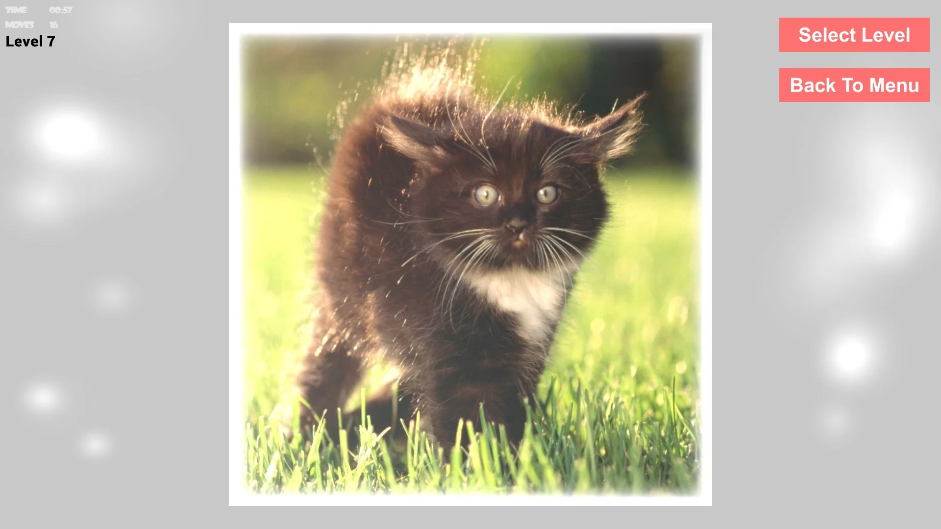 Изображение игры: Cats Epic Puzzles