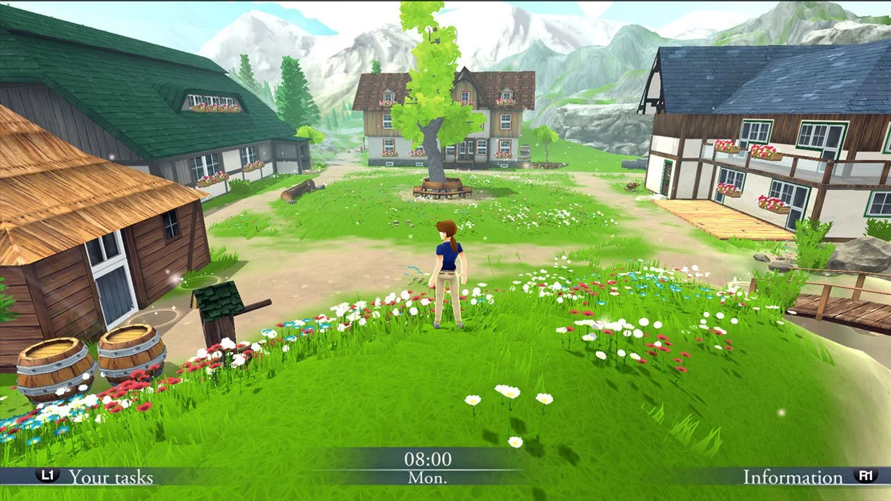 Изображение игры: My Riding Stables: Life with Horses 2