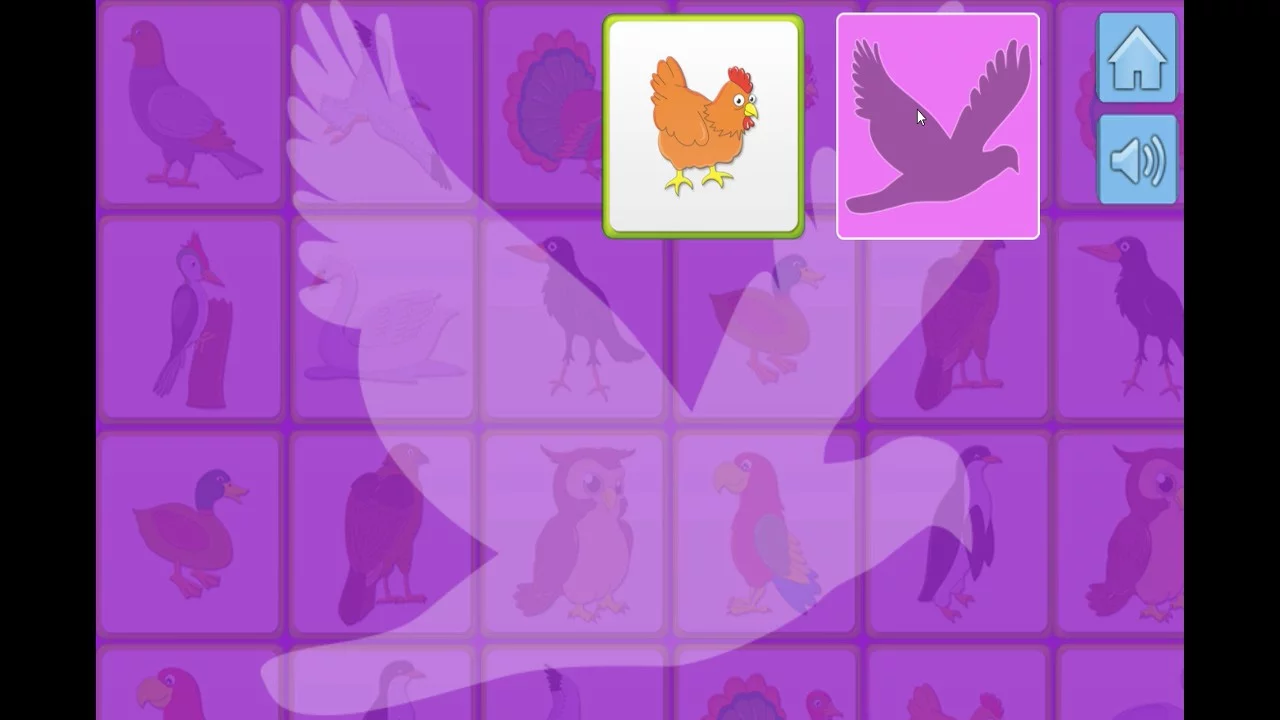 Изображение игры: Bird Memory