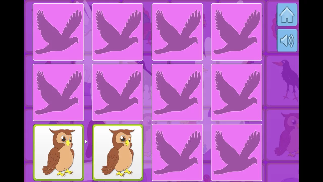 Изображение игры: Bird Memory
