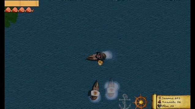 Изображение игры: Pirate