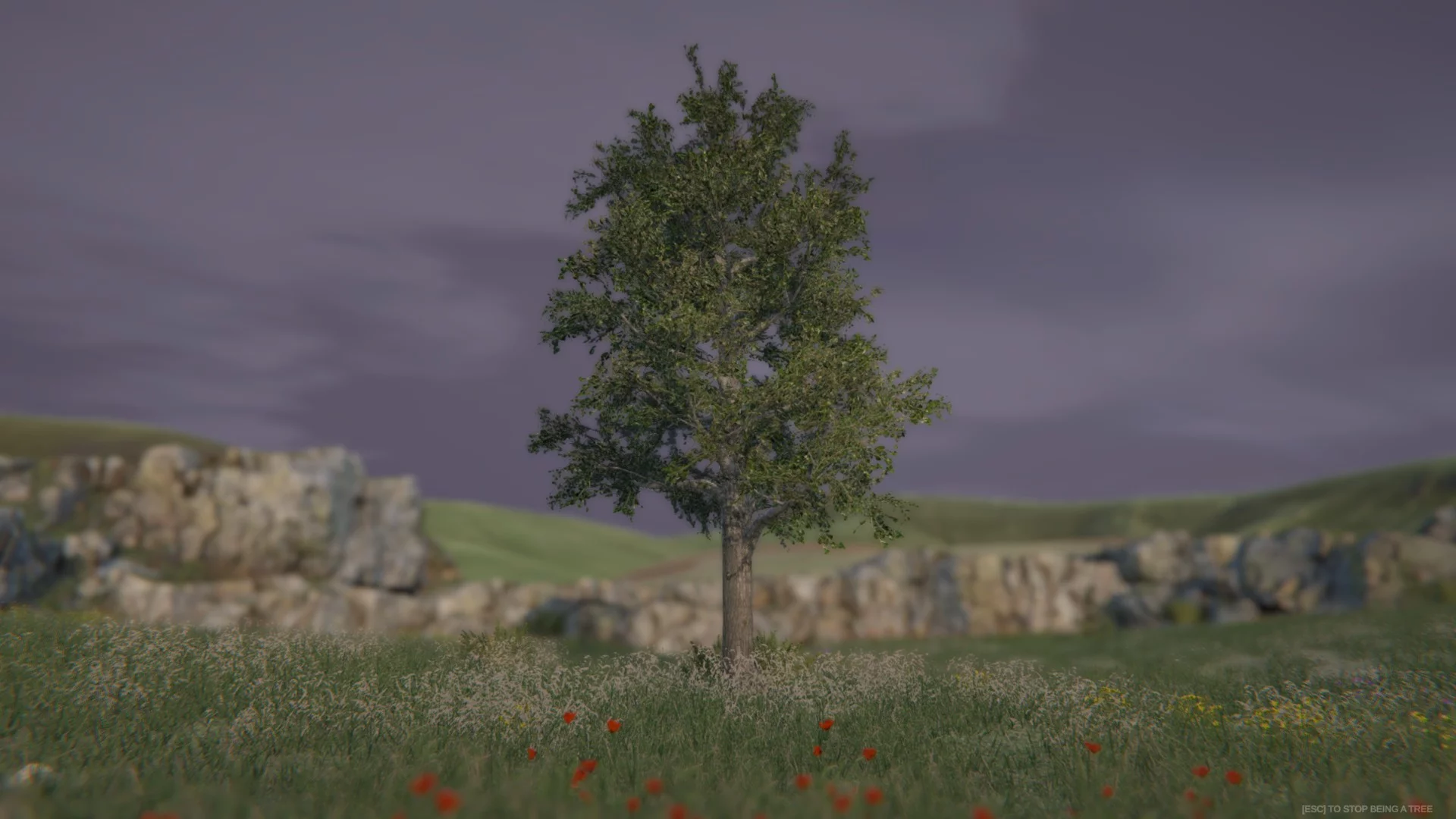 Изображение игры: Tree Simulator 2020
