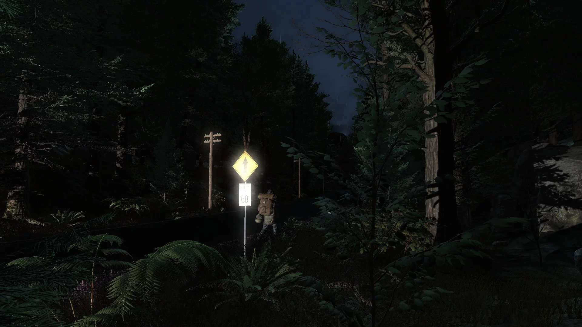 Изображение игры: Pineview Drive - Homeless