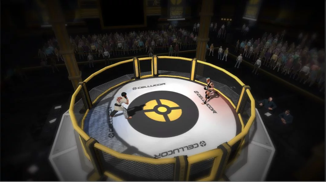 Изображение игры: MMA Arena