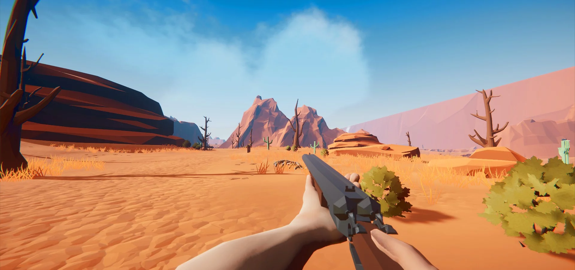 Изображение игры: Wild West and Wizards