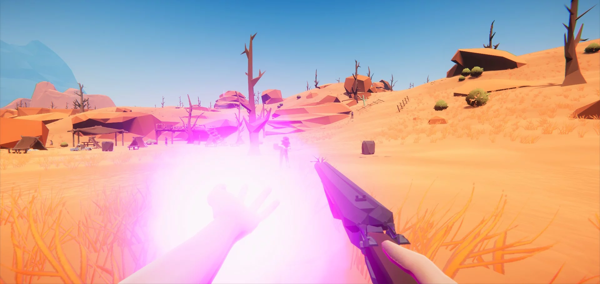 Изображение игры: Wild West and Wizards