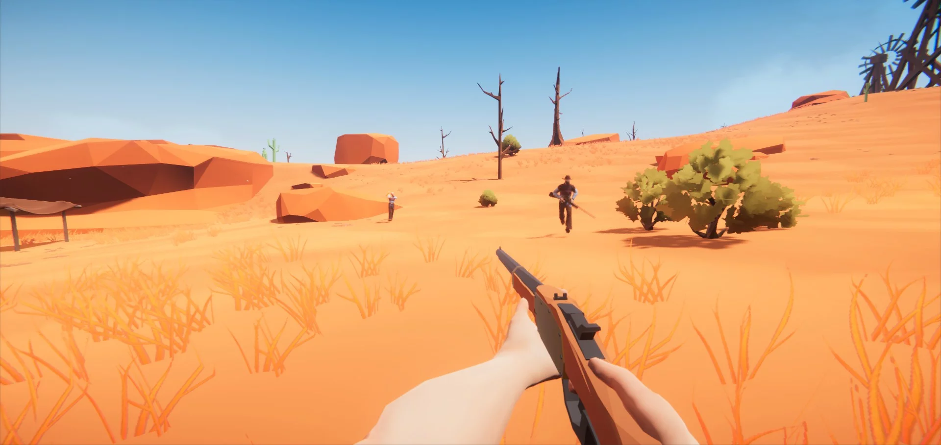 Изображение игры: Wild West and Wizards