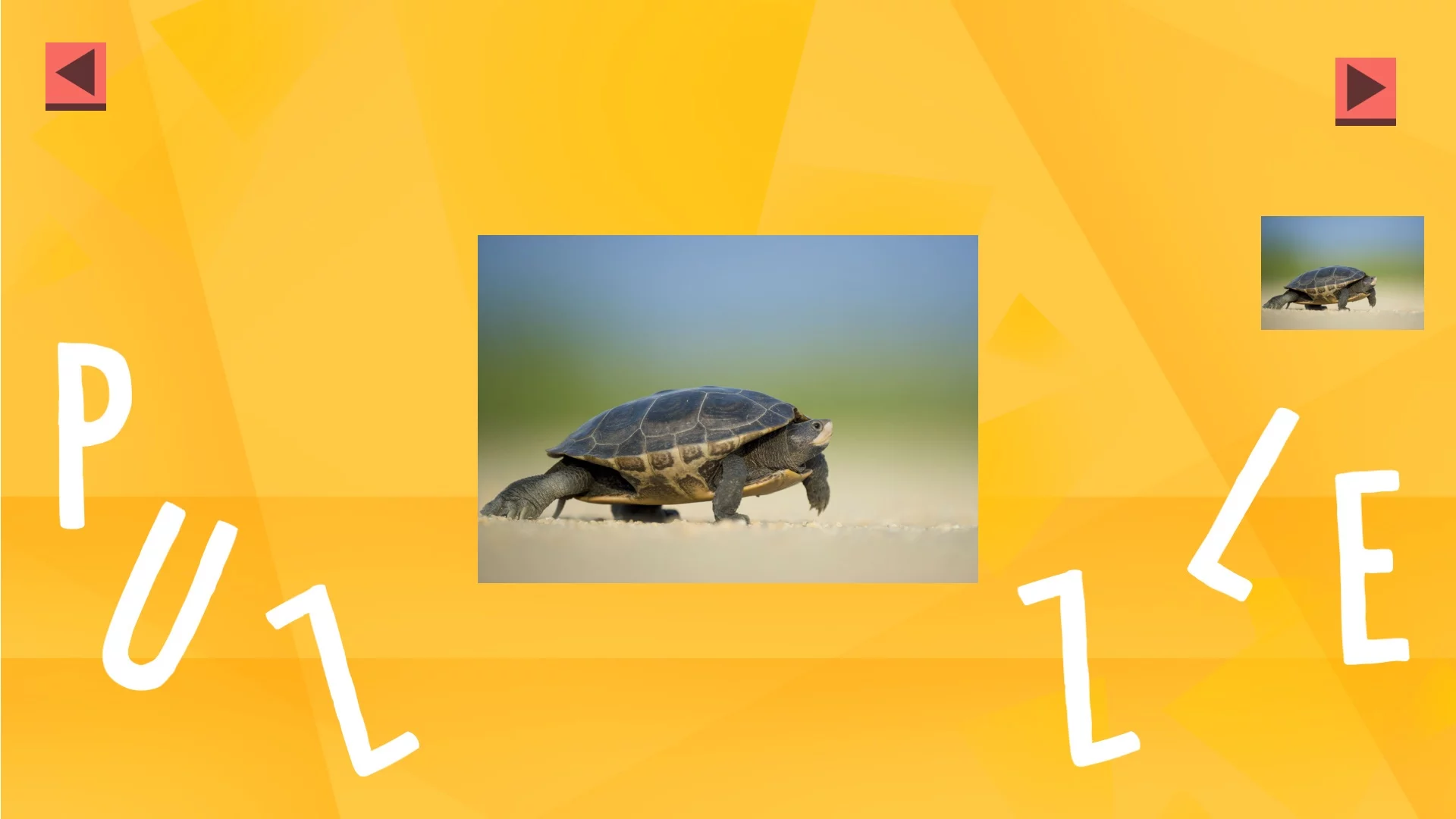 Изображение игры: Game Of Puzzles: Animals
