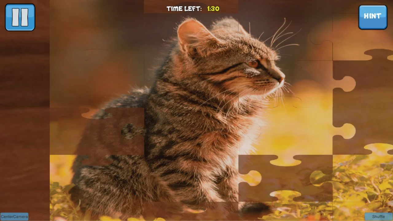 Изображение игры: Bepuzzled Kittens Jigsaw Puzzle