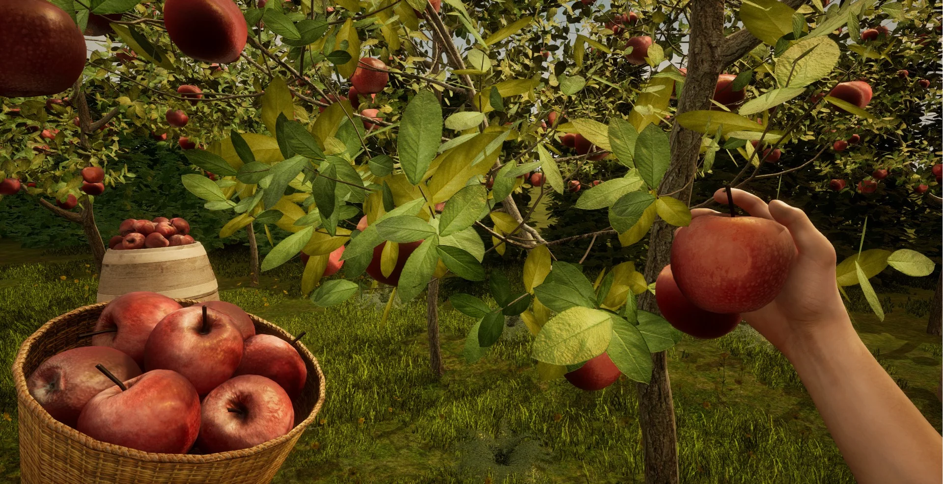 Изображение игры: Orchard Simulator