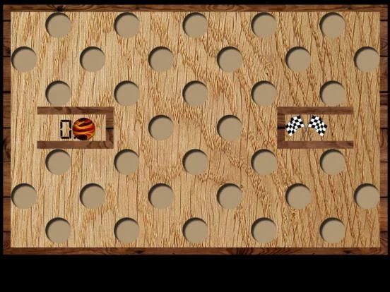 Изображение игры: Wood Maze Deluxe