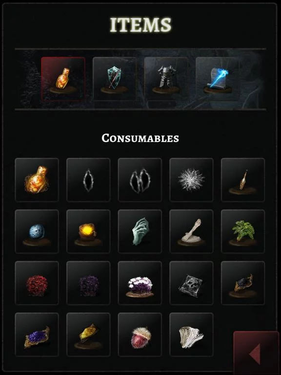 Изображение игры: Game Guide for Dark Souls