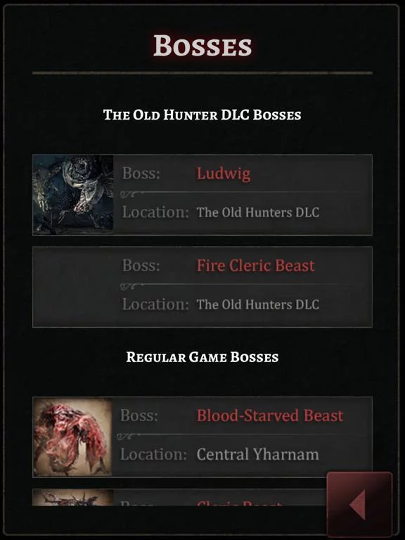 Изображение игры: Game Guide for Bloodborne