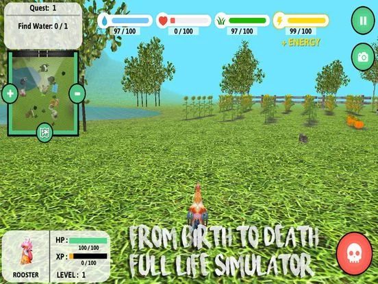 Изображение игры: Rooster Simulator