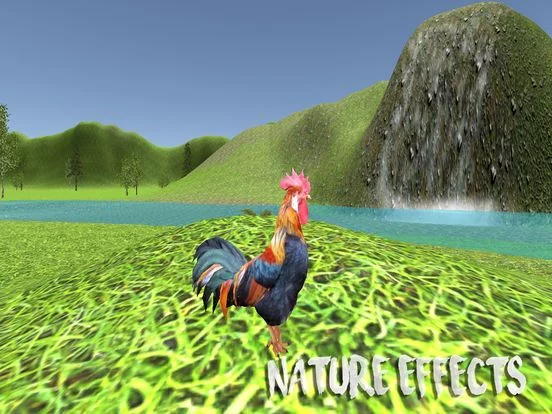 Изображение игры: Rooster Simulator