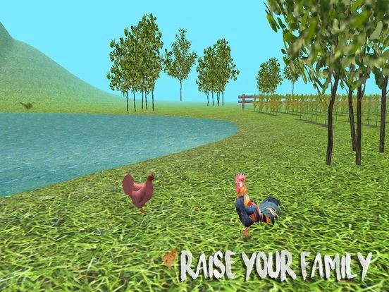 Изображение игры: Rooster Simulator