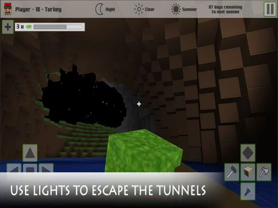 Изображение игры: Cubes Craft Survival