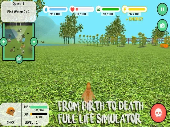 Изображение игры: Chick Simulator
