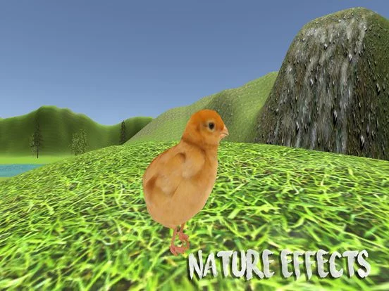 Изображение игры: Chick Simulator