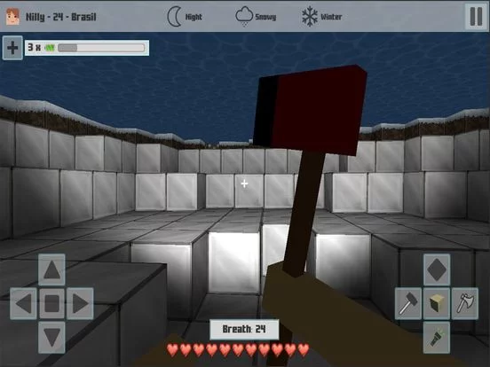 Изображение игры: Cubes Craft Winter