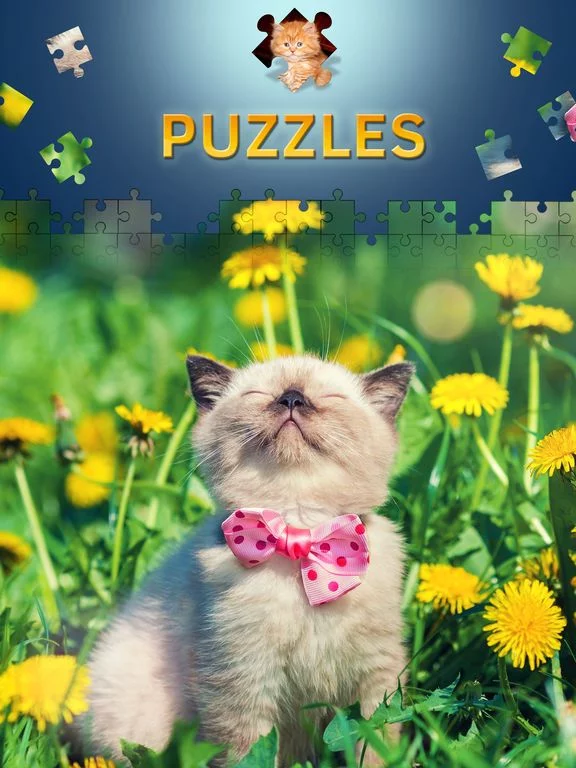 Изображение игры: Cats Jigsaw Puzzles 2017