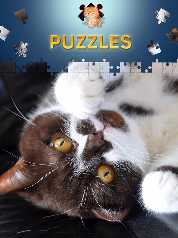 Изображение игры: Cats Jigsaw Puzzles 2017