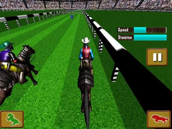 Изображение игры: Horse Racing Championship 2017