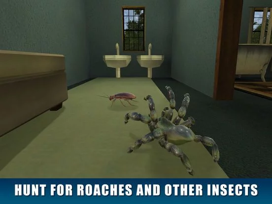 Изображение игры: Spider Pet Survival Simulator 3D