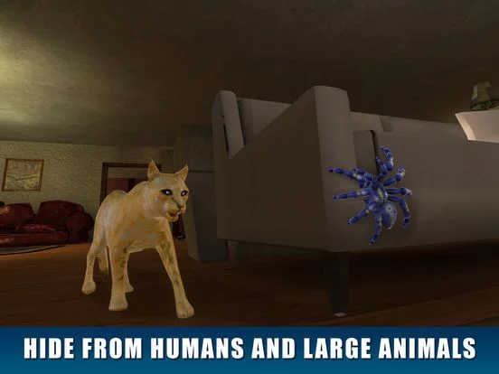 Изображение игры: Spider Pet Survival Simulator 3D
