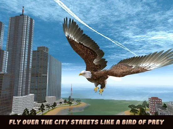 Изображение игры: City Eagle Simulator 3D