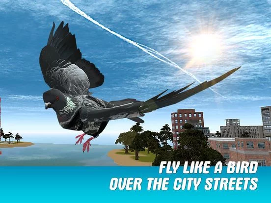 Изображение игры: City Pigeon Simulator 3D