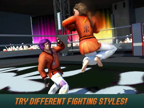 Изображение игры: Karate Do Fighting Tiger 3D - 2