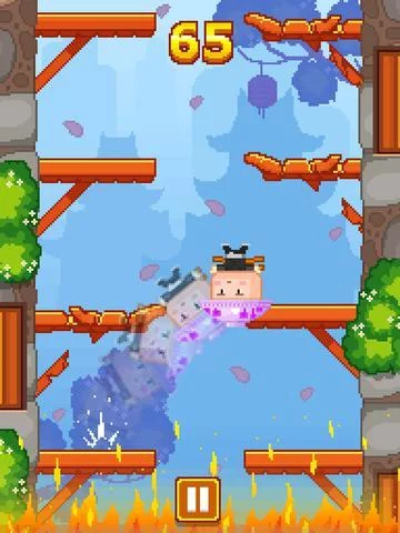 Изображение игры: Ninja Escape