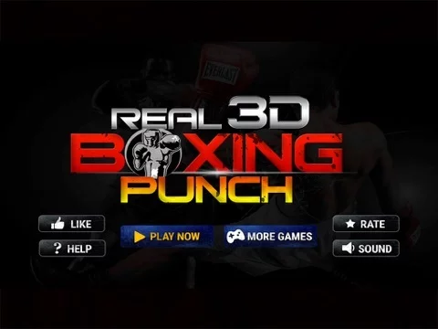 Изображение игры: Real 3D Boxing Punch