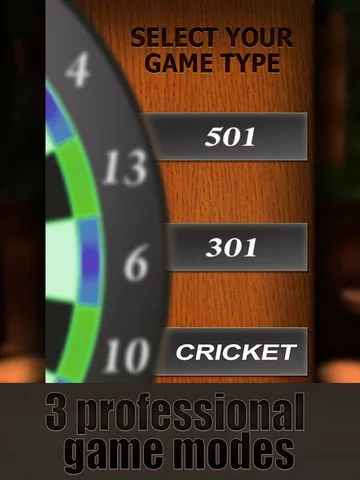 Изображение игры: Professional Darts 3D