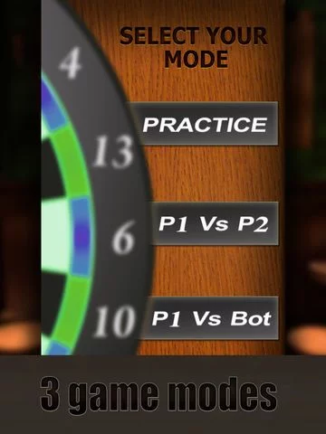 Изображение игры: Professional Darts 3D