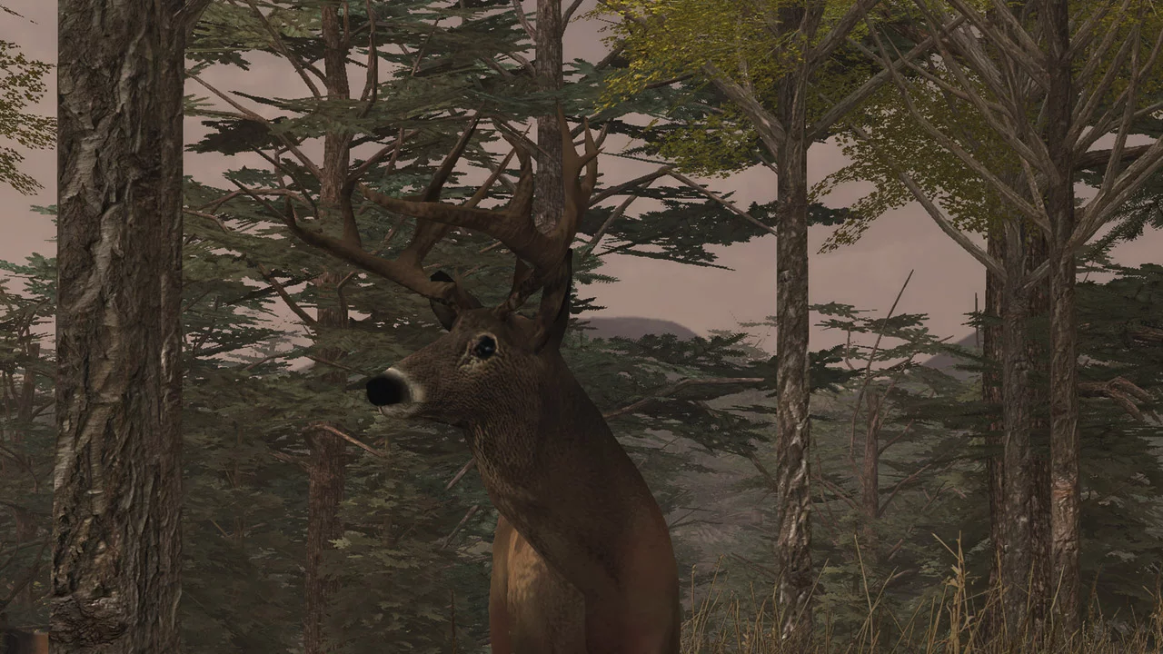 Изображение игры: Deer Simulator