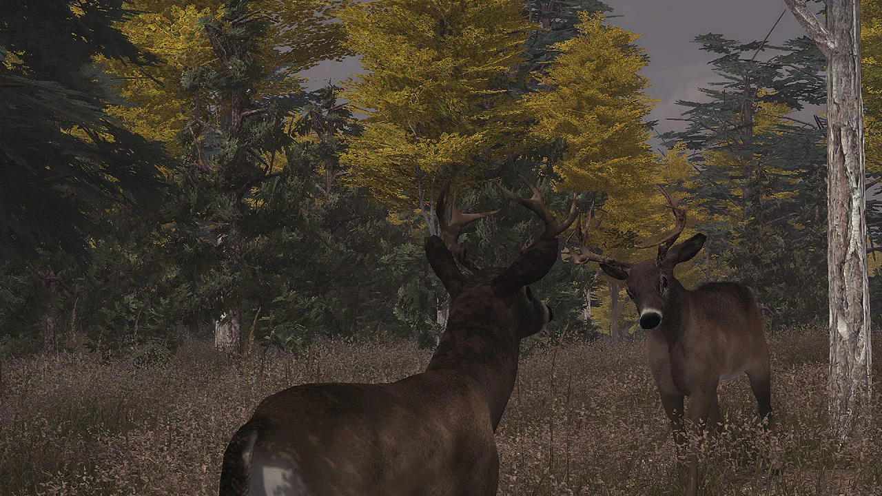 Изображение игры: Deer Simulator