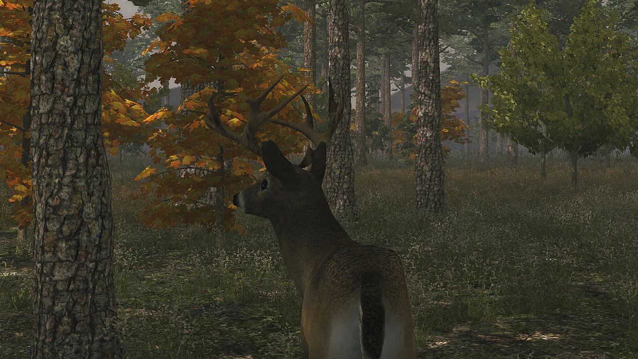 Изображение игры: Deer Simulator