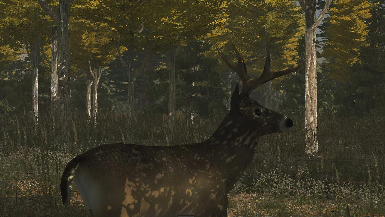 Изображение игры: Deer Simulator