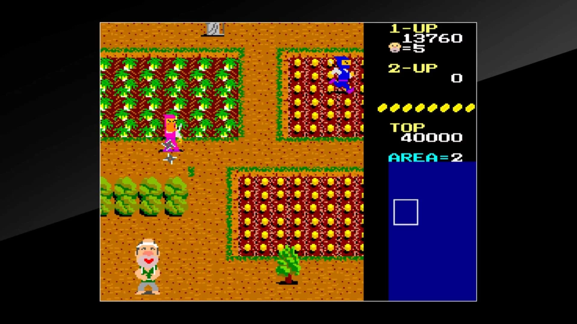 Изображение игры: Arcade Archives Ikki
