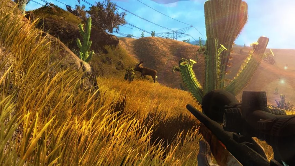 Изображение игры: Hunter's Trophy 2 - America